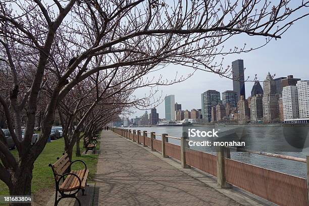 Insel Roosevelt Island Stockfoto und mehr Bilder von Baum - Baum, East River, Fluss
