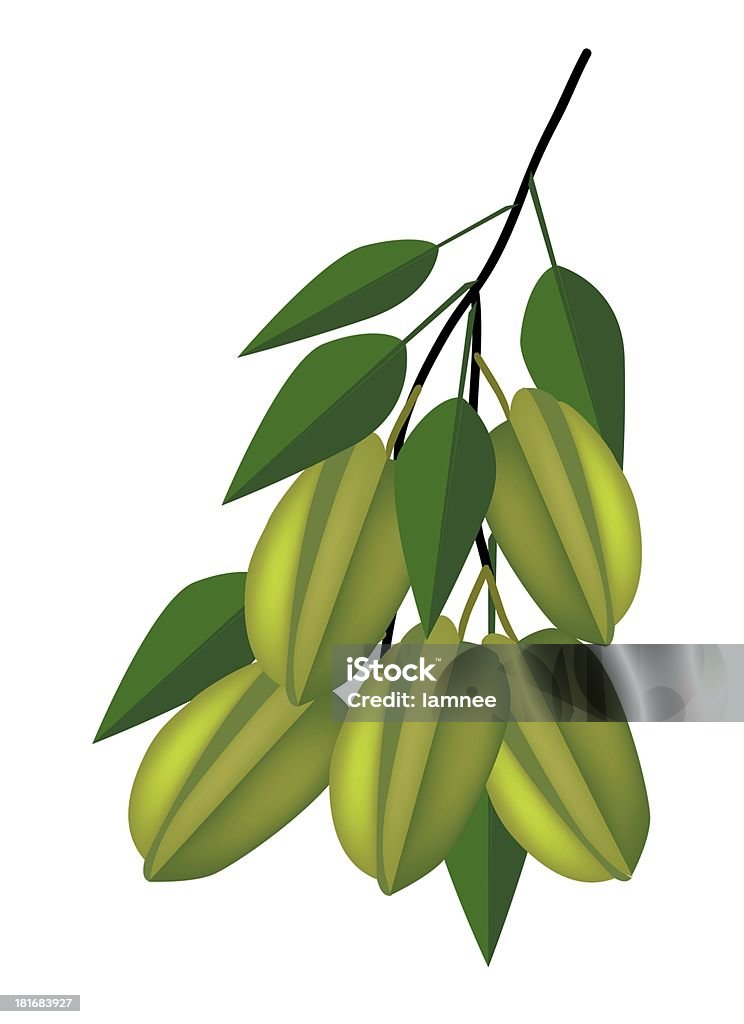 Delicioso verde Carambolas em um galho de árvore - Ilustração de Alimentação Não-saudável royalty-free
