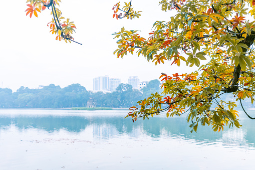 beautiful view of Central Park in Kaohsiung, Taiwan, It is one of the famous attractions in Kaohsiung.