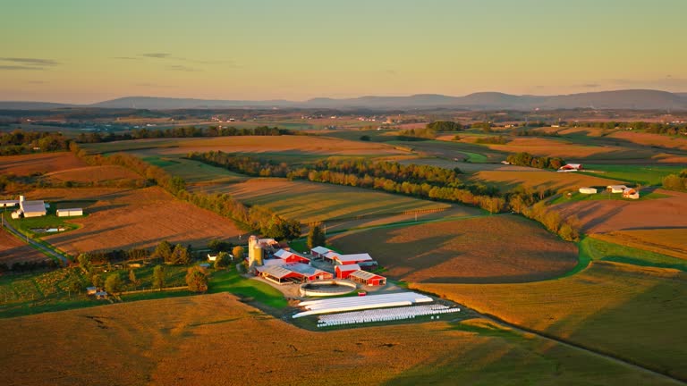 Aerial of Farm with Grain Silo at Sunrise in Fall