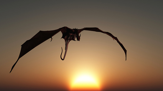 Fantasy illustration of a red fire breathing dragon attacking from a dark cloudless sunset sky, 3d digitally rendered illustration