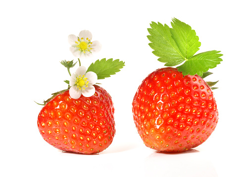 Strawberries and peppermint, isolated on white