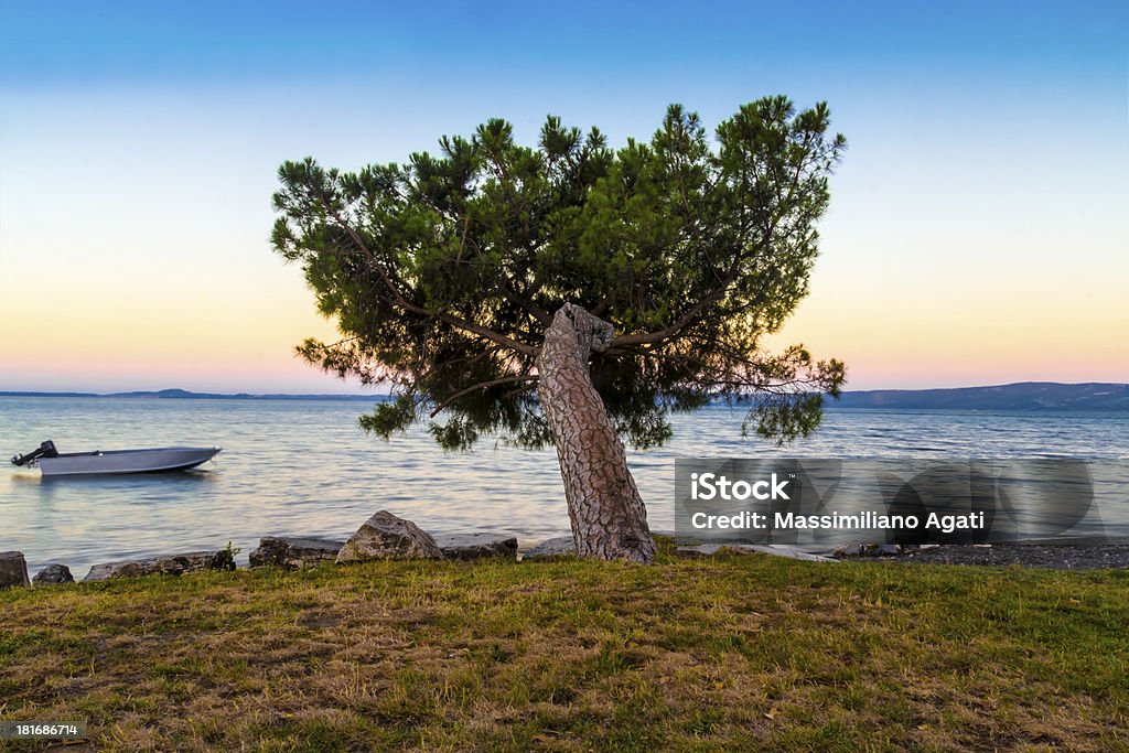 Lone tree ao Amanhecer - Royalty-free Amanhecer Foto de stock