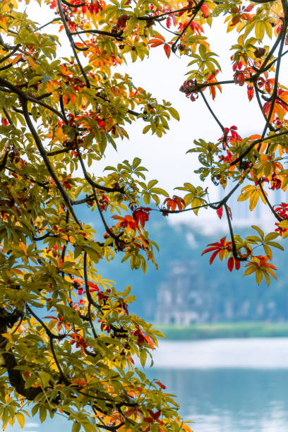Hoan Kiem Lake ( Ho Guom) or Sword lake in the center of Hanoi in the fog in the morning. Hoan Kiem Lake ( Ho Guom) or Sword lake in the center of Hanoi in the fog in the morning. Hoan Kiem Lake is a famous tourist place in Hanoi. Travel and landscape concept. Selective focus. ho guom stock pictures, royalty-free photos & images