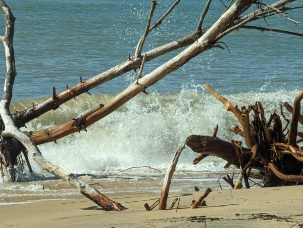 istock French Atlantic coast - La Tremblade beach 1816876177
