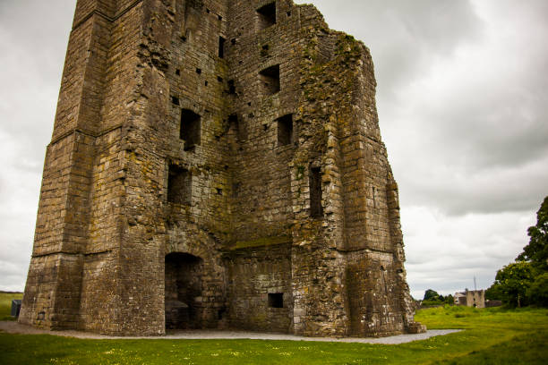 istock Spring in Trim Castle (Caislean Bhaile Atha Troim), Ireland 1816888743