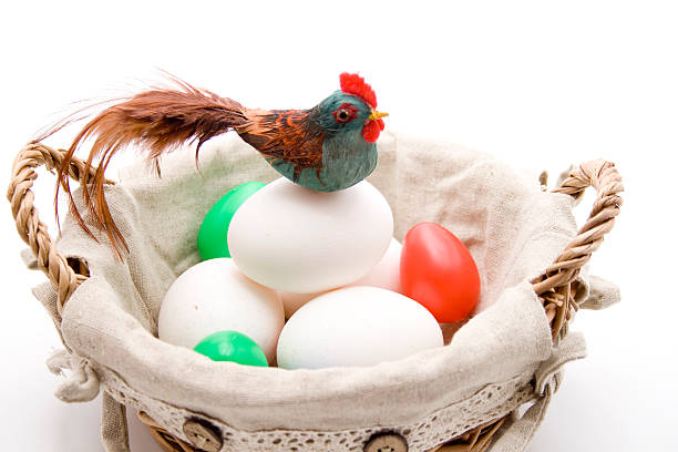 Colored eggs with chicken in the basket and on white background