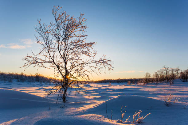 istock Winter sunset in Nuorgam, Lapland, Finland 1816903632