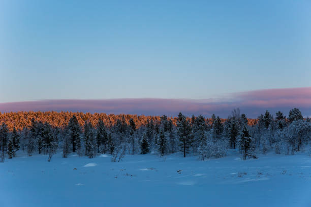 istock Winter sunset in Nuorgam, Lapland, Finland 1816903637