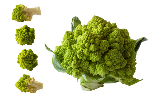 set of roman cauliflower. roman cauliflower on wooden bowl isolated on white. roman cauliflower close up. fractal texture of romanesco broccoli. roman cauliflower with copy space for text. - romanesque broccoli cauliflower cabbage stock-fotos und bilder