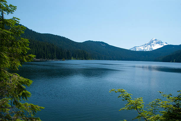 The Bull Run Watershed is the water source for the city of Portland. The lake is only visited by a handfull of people each year as the area is closed off to the pulbic. Also it is extremely rare to get a cloudless picture of Mt. Hood. Mt. Hood was last active as a volcano a little over a hundred years ago.