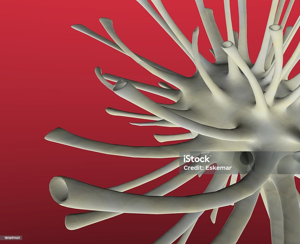 neuronal - Illustration de Anatomie libre de droits