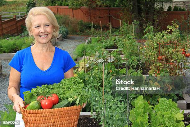 Foto de Lady Legumes Gardener e mais fotos de stock de Abobrinha - Abobrinha, Adulto, Alface