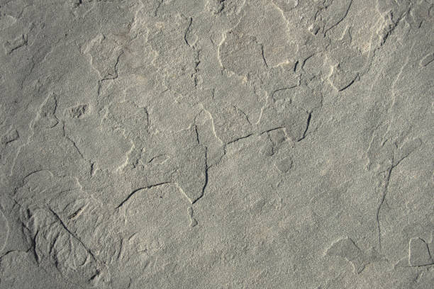 istock granite bluestone texture (stone close up background graphic) vignette, gray, shadow, rough (detailed rock tile) flooring, cement, textured (bumpy, protrusion, organic, natural, nature, cut) slate 1816927930