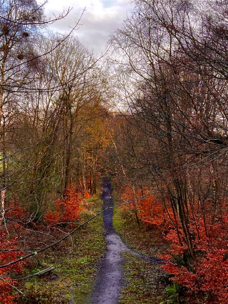 istock A footpath lined by autumnal colours 1816934846