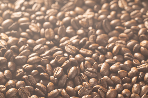 coffee bean background