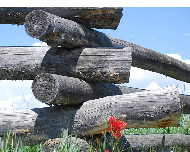 istock Log fence in the Rocky Mountains. 181694842