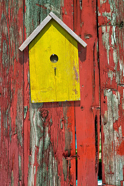 istock Birdhouse on rustic wooden fence 181696170