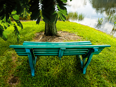Close up shot of a blue bench in front of a beautiful lake in Florida