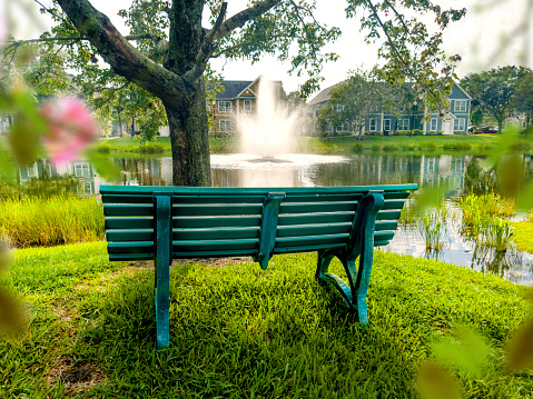 Close up shot of a blue bench in front of a beautiful lake in Florida