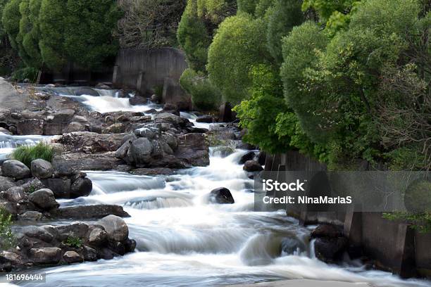 Wasser Stream Stockfoto und mehr Bilder von Bach - Bach, Baum, Berg