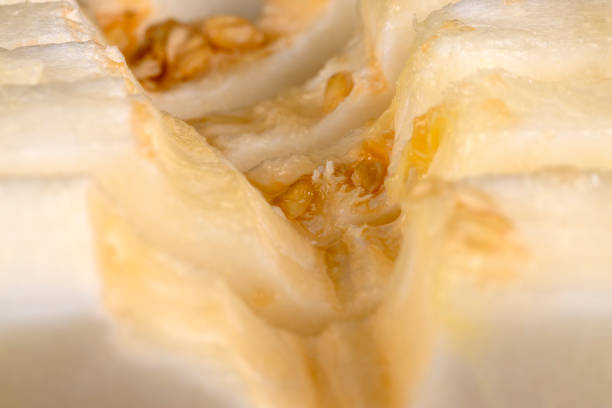 istock ripe delicious melon close up 1816970535