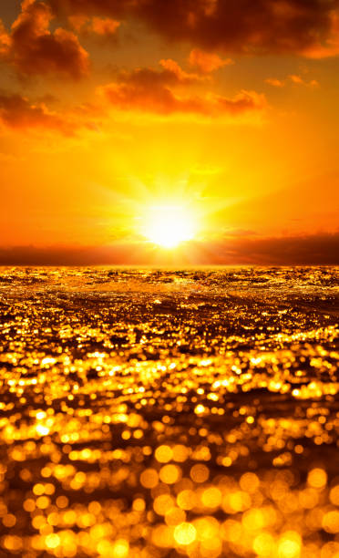 A gorgeous sunset with vibrant orange color with sun in the horizon in Florida