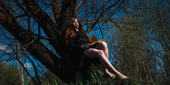 Mystical witch red haired woman in a black long dress in a gloomy sitting forest with book under the tree. Gothic girl on a scorched ground.