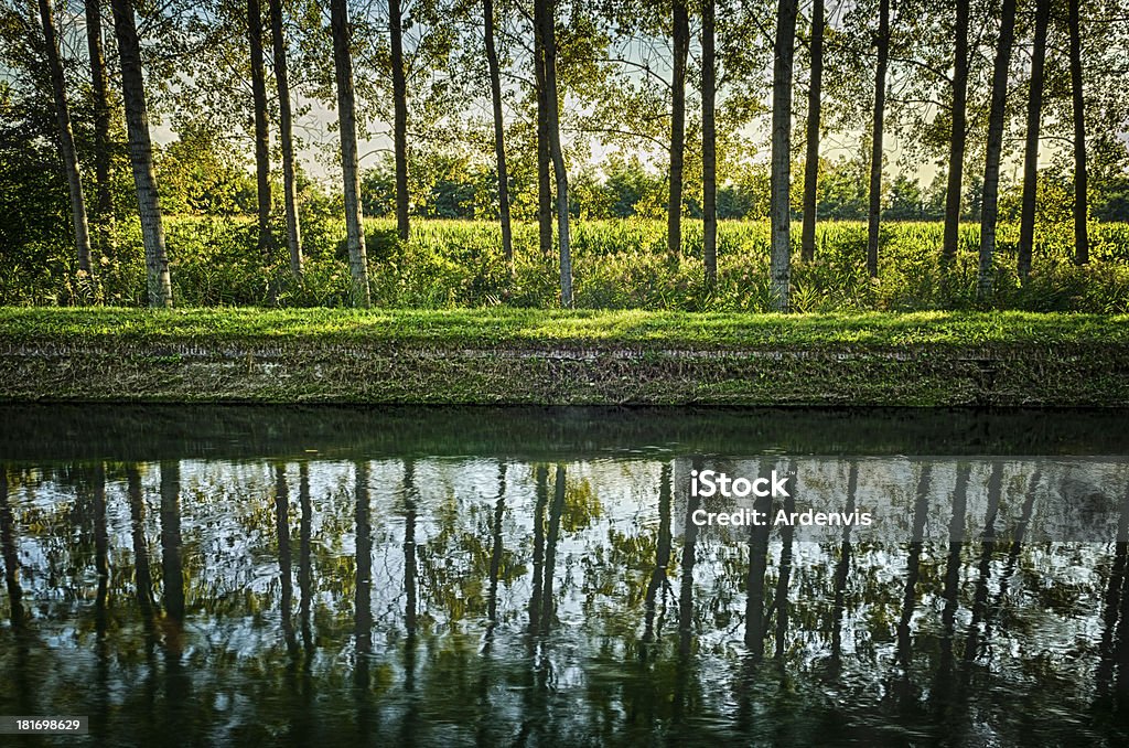 forest stream in HDR forest reflected in water in HDR. Location: Genivolta, Lombardia, Italy. Backgrounds Stock Photo