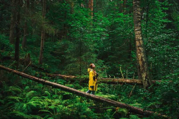istock Woman in yellow raincoat 1816990543