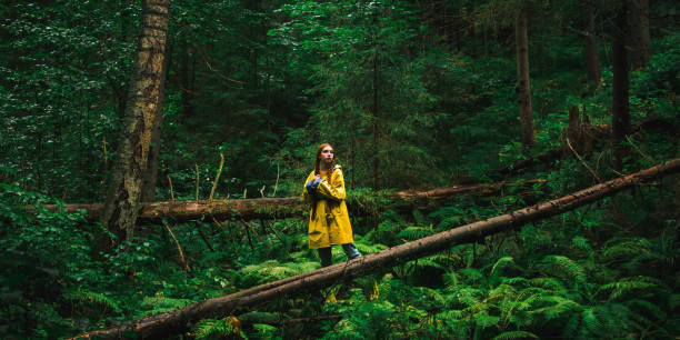 istock Woman in yellow raincoat 1816990549