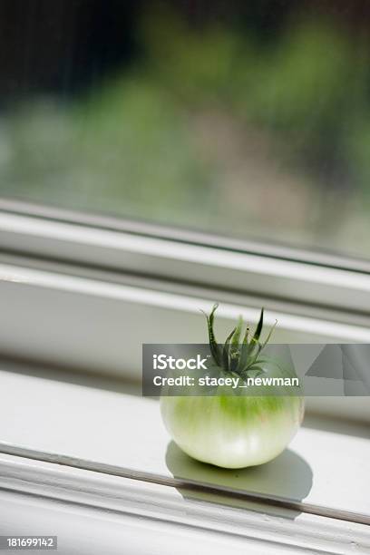 Frischen Tomaten Auf Den Garten Stockfoto und mehr Bilder von Ernten - Ernten, Fotografie, Frische