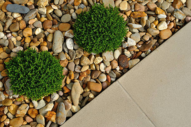 istock Landscape outdoor garden design 181699211