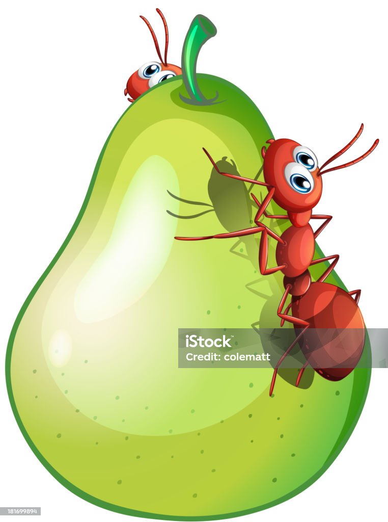Pear With Two Ants Stock Illustration - Download Image Now - Ant,  Characters, Clip Art - iStock