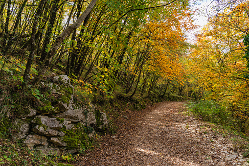 Scenic fall season sight at the small lakes of Percile. Province of Rome, Lazio, Italy.