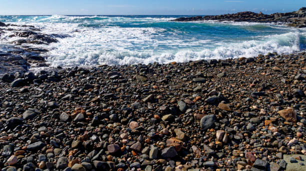 spiaggia rocciosa aguas verdes - fuerteventura, isole canarie, spagna - light sea low tide fuerteventura foto e immagini stock