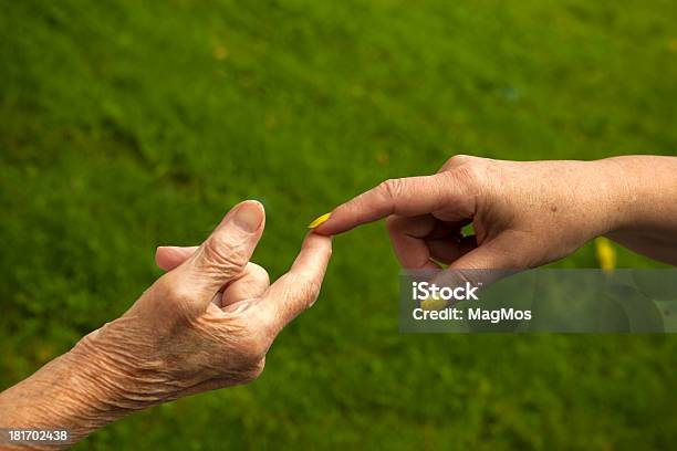 Contacto Suave Foto de stock y más banco de imágenes de Acuerdo - Acuerdo, Adulto, Adulto joven