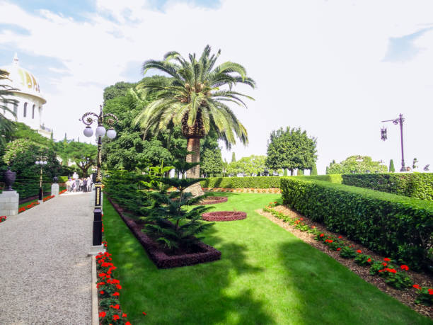 istock Path in the park with flowers and palm trees 1817027388
