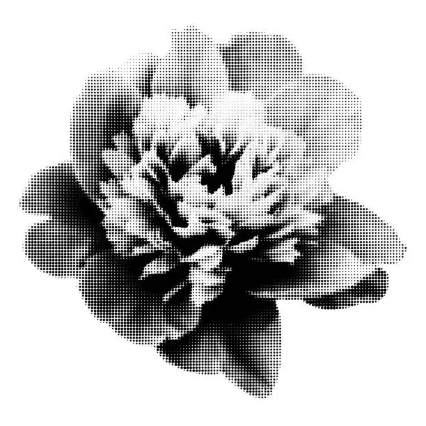 Vector illustration of Peony flower halftone collage element vector illustration