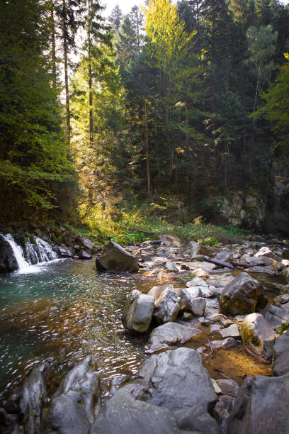 istock Very beautiful waterfall in autumn in the forest. Ukraine, Carpathians 1817043750