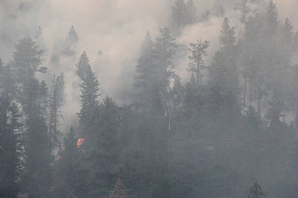 istock Wild fire in LoLo Montana 181704527