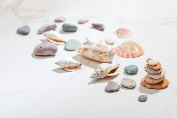 istock sea stones and seashells on white marble background 1817053853