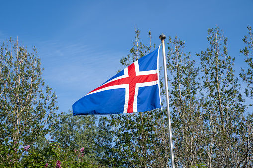 Iceland flag blowing in the wind, trees in the background