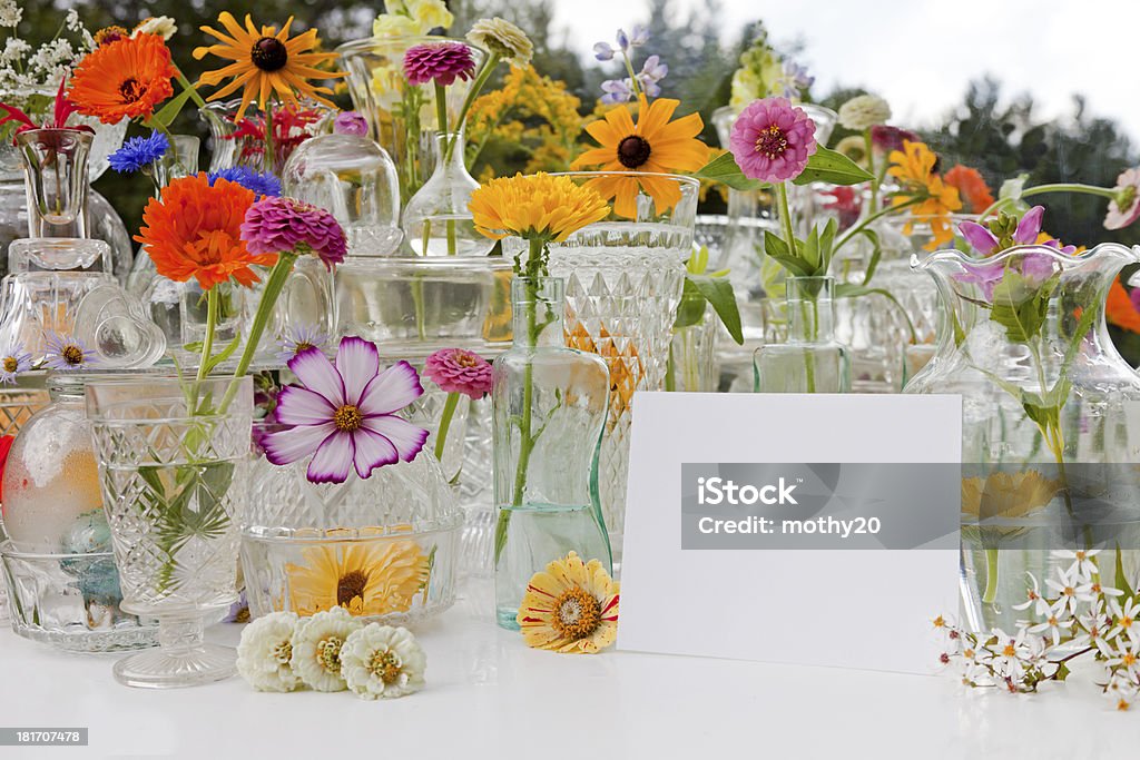 Flores silvestres de verano - Foto de stock de Fiesta de jardín libre de derechos