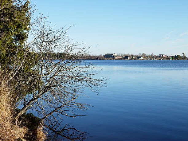 istock Coast of lake 181707699