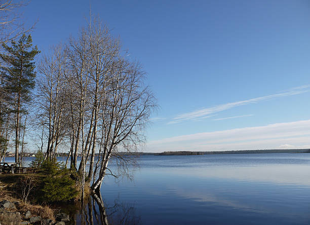 istock Coast of lake 181707722