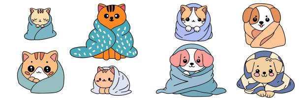 illustrations, cliparts, dessins animés et icônes de ensemble d’animal mignon enveloppé dans une couverture. - purebred cat illustrations