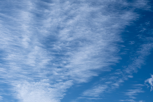 fluffy cirrus clouds in the blue sky.