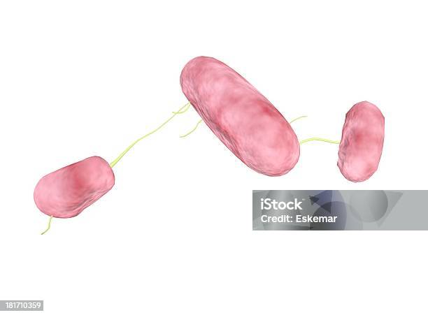 Ilustración de Bakterien y más Vectores Libres de Derechos de Afección médica - Afección médica, Asistencia sanitaria y medicina, Bacteria