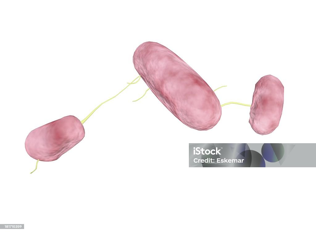 Bakterien - Royalty-free Bactéria Ilustração de stock